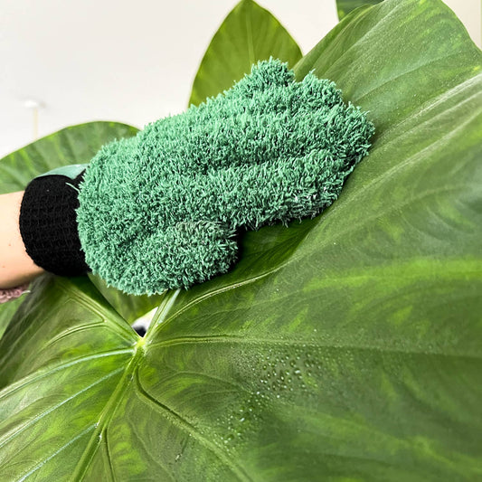 Leaf Love Gloves - Microfiber dusting gloves for plants