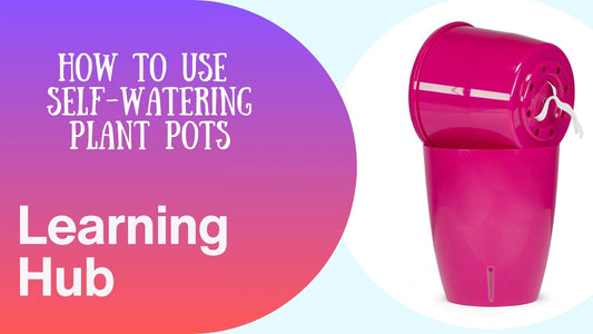 HOW TO USE OUR SELF WATERING PLANTERS