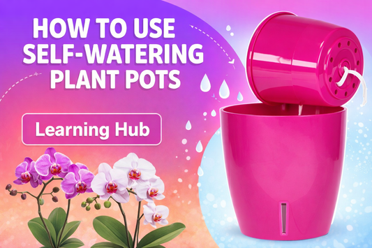 HOW TO USE OUR SELF WATERING PLANTERS