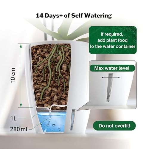 Dali-Dea Self-Watering Plant Pot