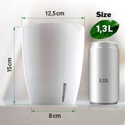 Self-Watering Plant Pots/ Packs