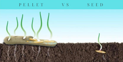 Lawn Patch Repair Coated Grass Seeds  Premium Hard Wearing Shade/Sun (0.85 KG)