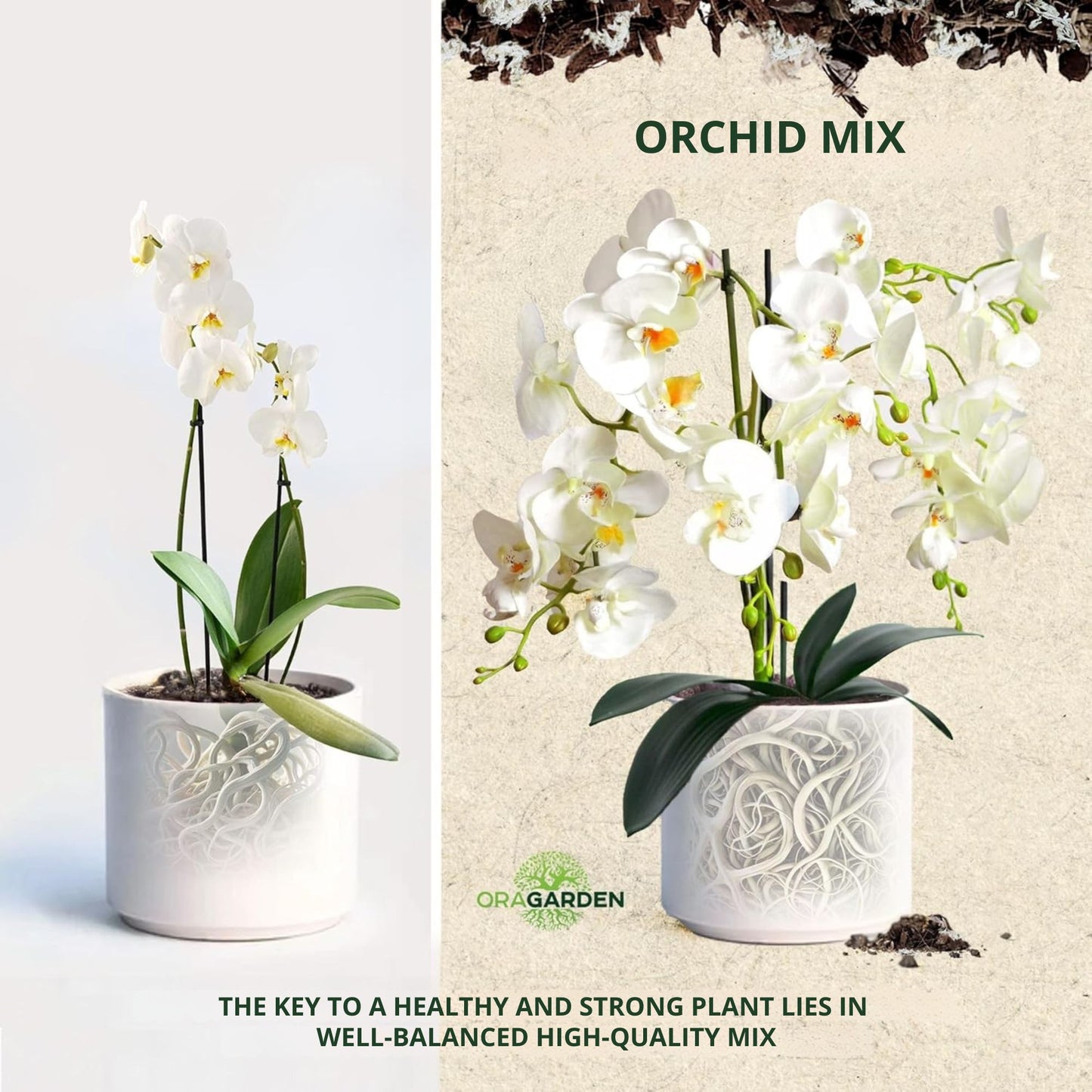 Orchid potting mix