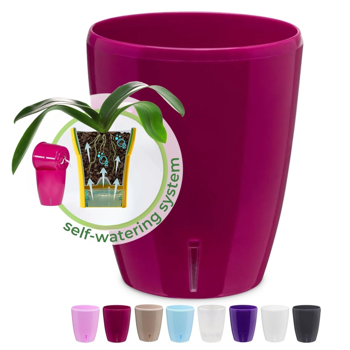 ORCHIDEA Self-Watering Orchid Pot