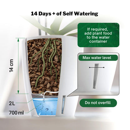 ORCHIDEA Self-Watering Orchid Pot