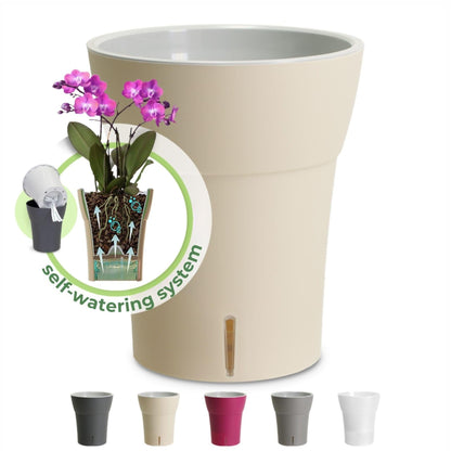 Dali-Dea Self-Watering Plant Pot