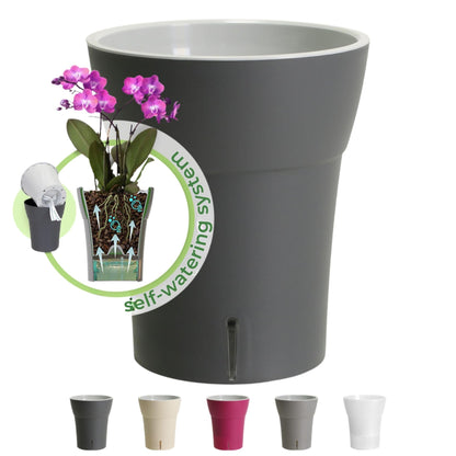 Dali-Dea Self-Watering Plant Pot