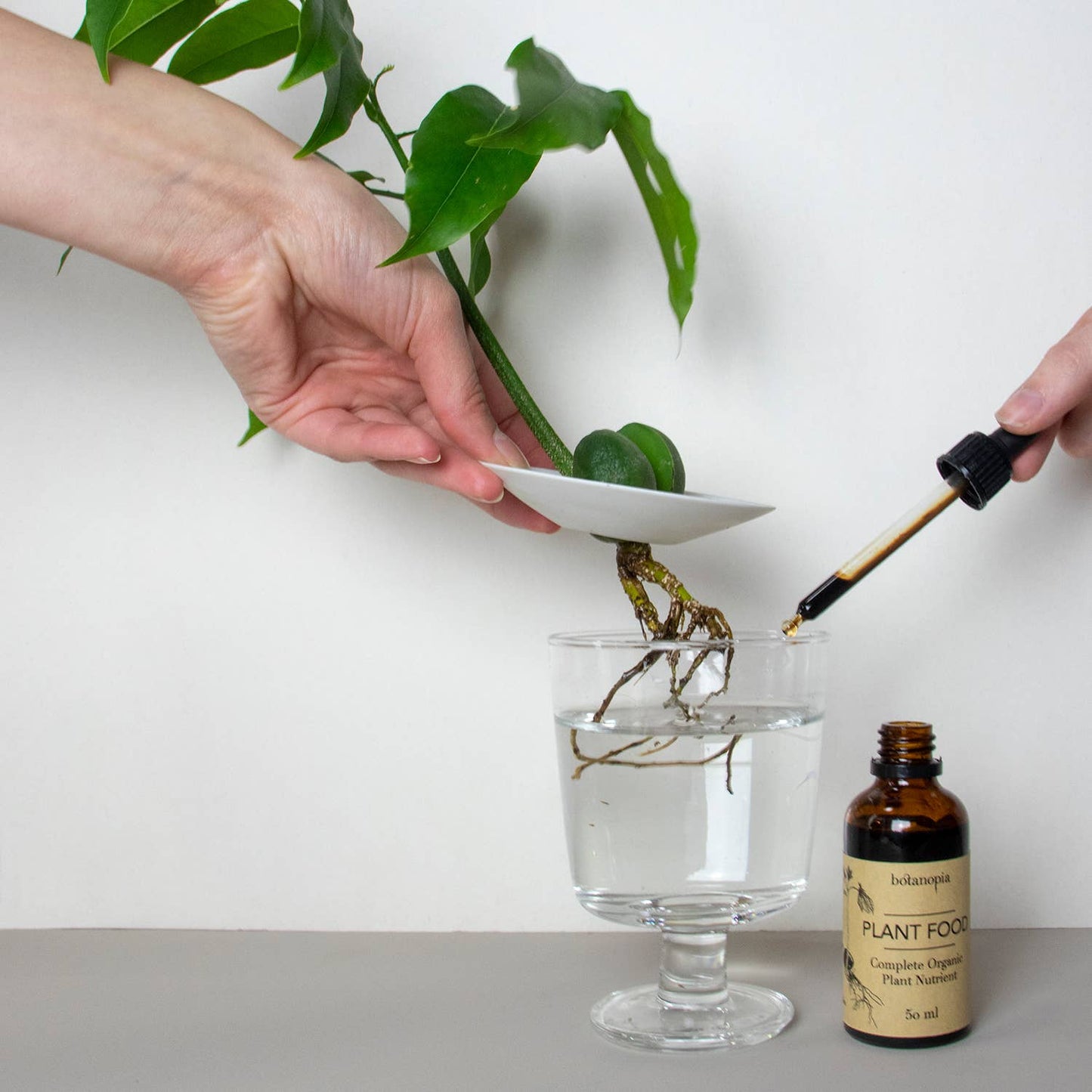 Complete Organic Plant Food - 50ml