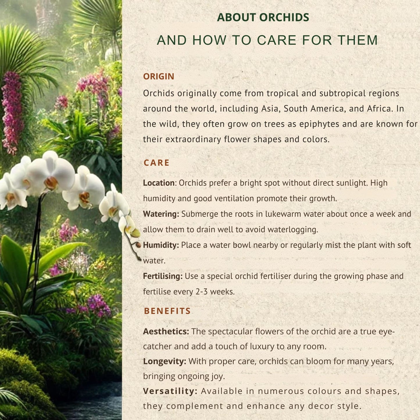 Orchid potting mix