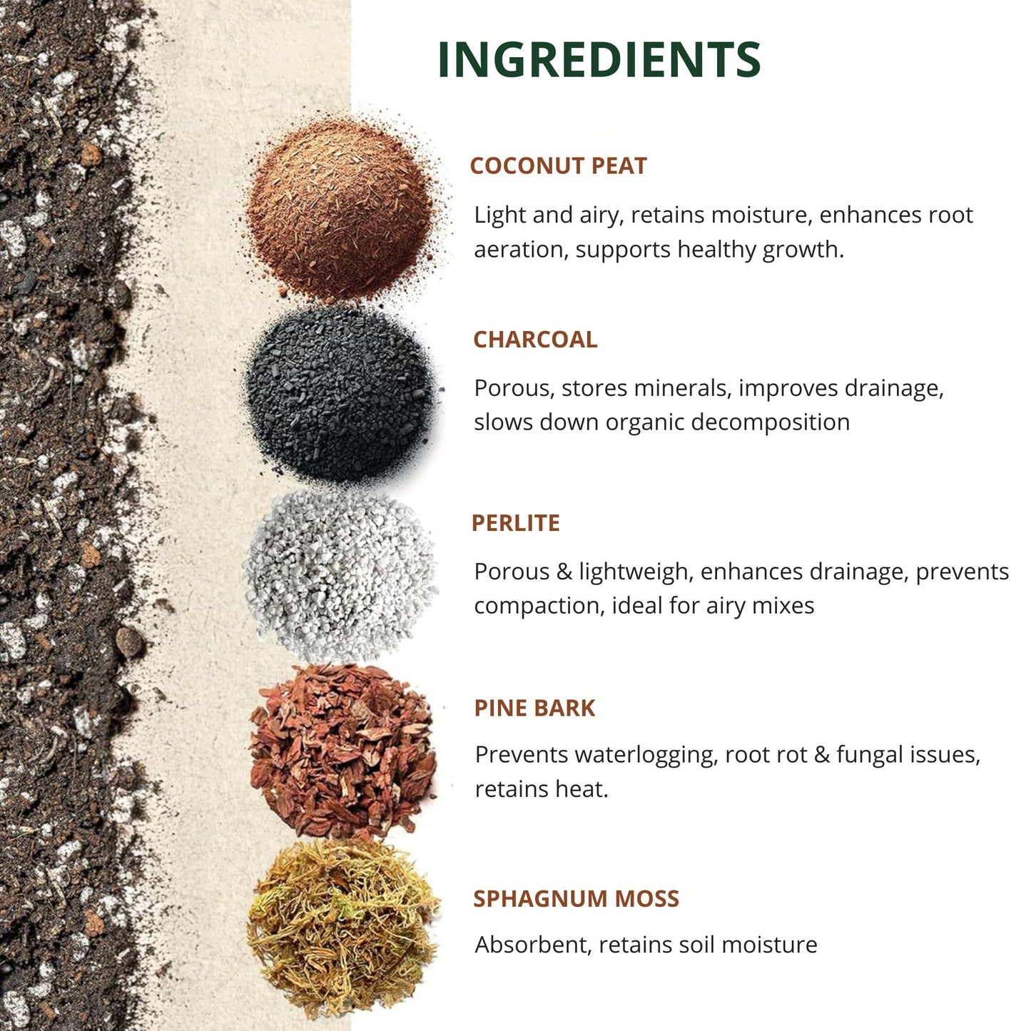 Monstera Soil – Premium Substrate/Potting Mix for Strong, Healthy Growth (3L)