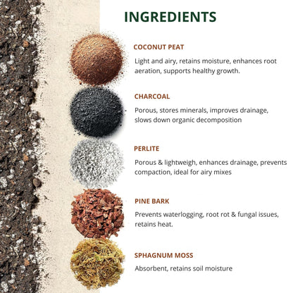 Monstera Soil – Premium Substrate/Potting Mix for Strong, Healthy Growth (3L)