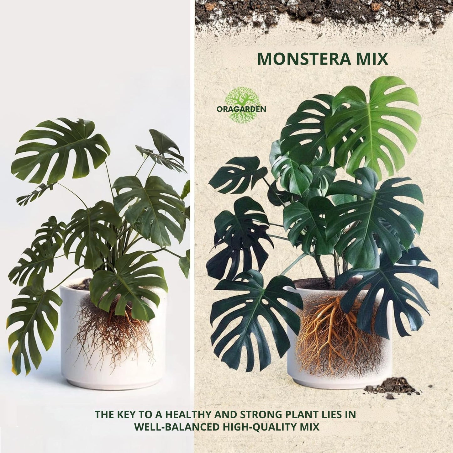 Monstera Soil – Premium Substrate/Potting Mix for Strong, Healthy Growth (3L)