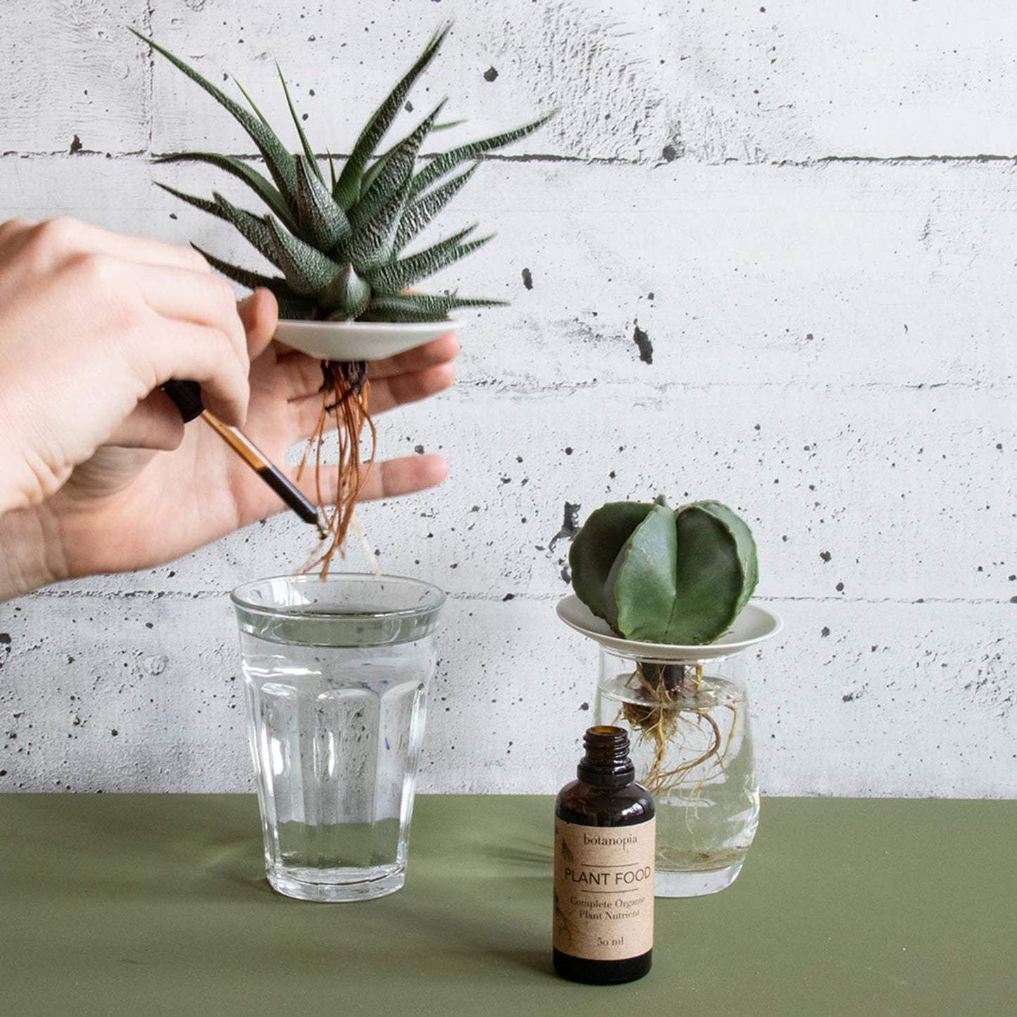 Complete Organic Plant Food - 50ml