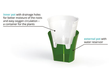 Self-Watering plant pot for tiny roots 0.6L