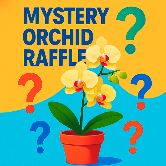 MYSTERY PLANT RAFFLE TICKET