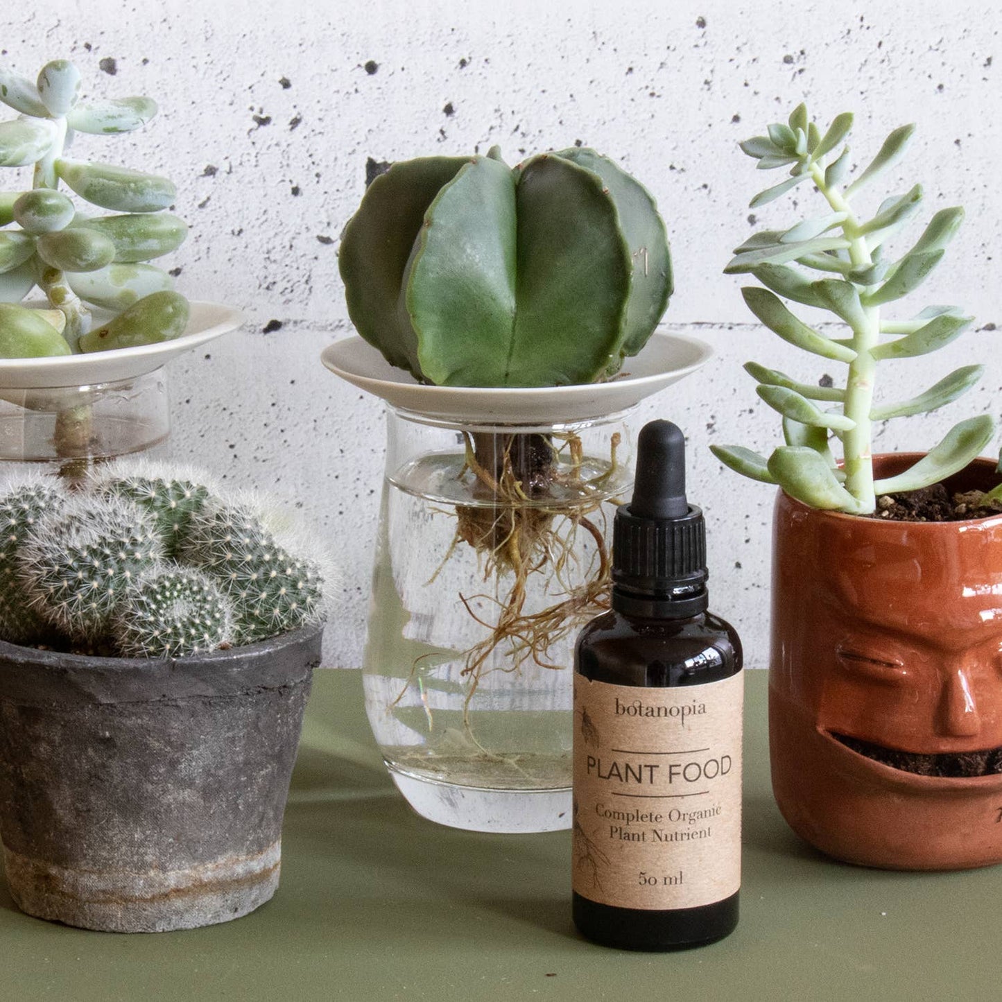 Complete Organic Plant Food - 50ml