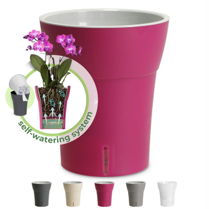Dali-Dea Self-Watering Plant Pot