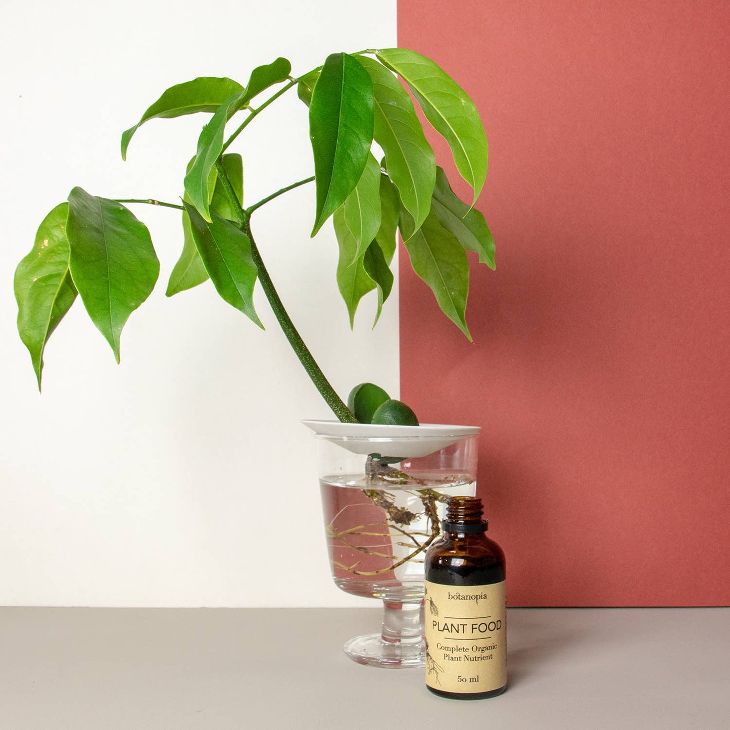 Complete Organic Plant Food - 50ml