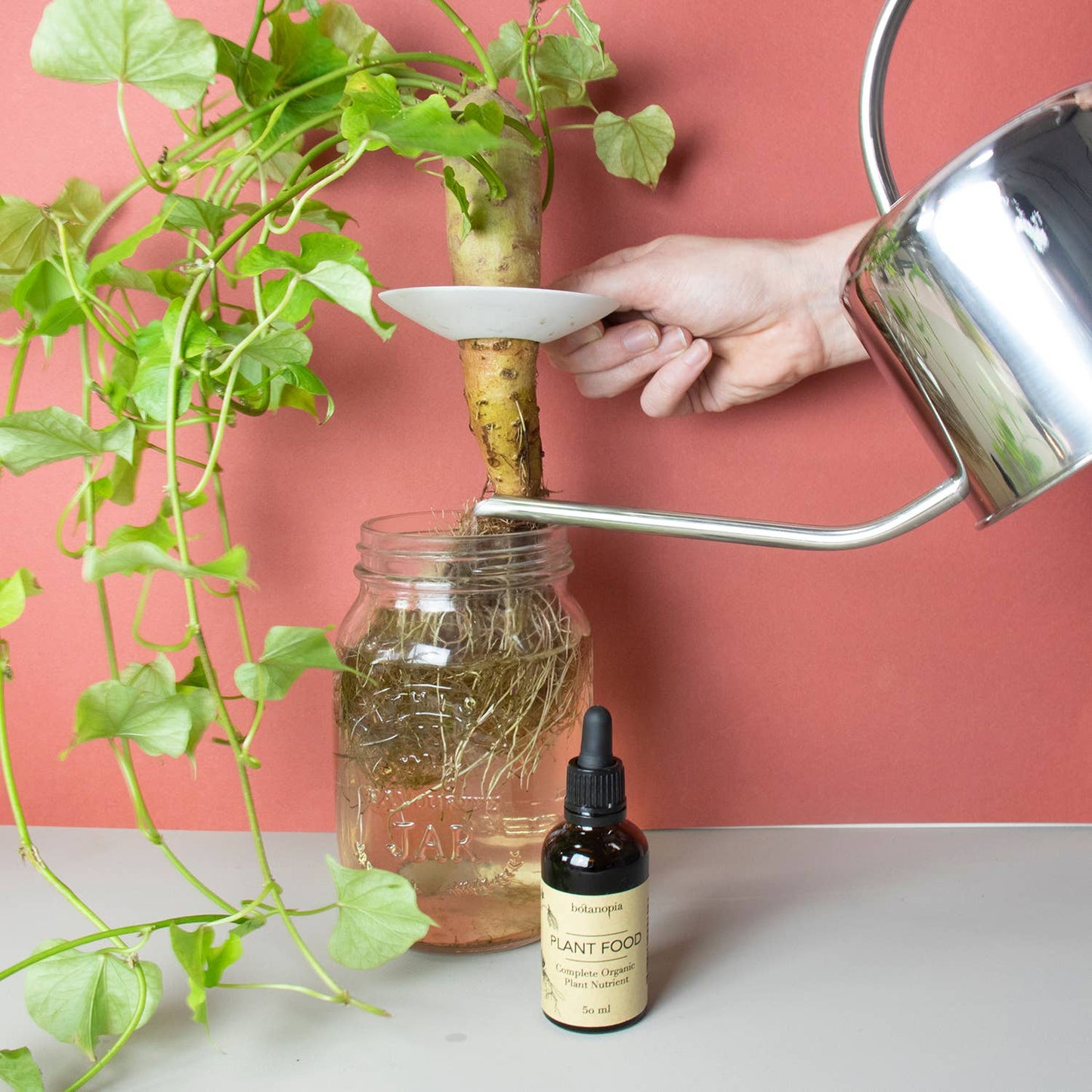 Complete Organic Plant Food - 50ml