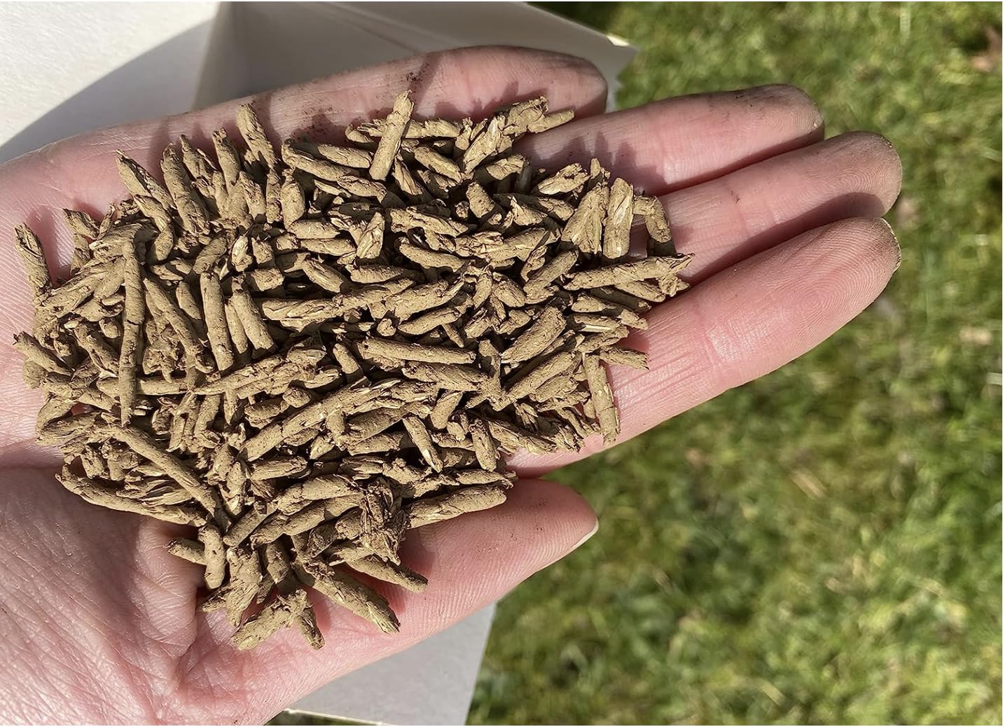 Lawn Patch Repair Coated Grass Seeds  Premium Hard Wearing Shade/Sun (0.85 KG)