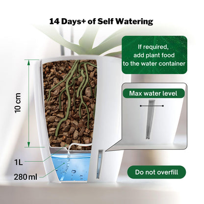 Self-Watering Plant Pots/ Packs