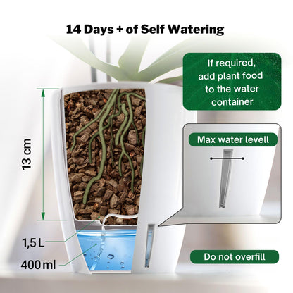 Dali-Dea Self-Watering Plant Pot
