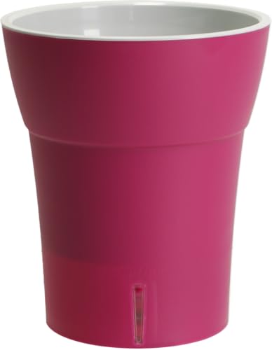 Dali-Dea Self-Watering Plant Pot