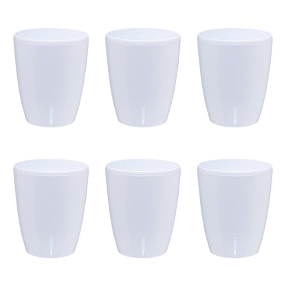 Self-Watering Plant Pots/ Packs