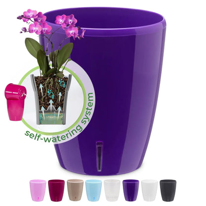 ORCHIDEA Self-Watering Orchid Pot