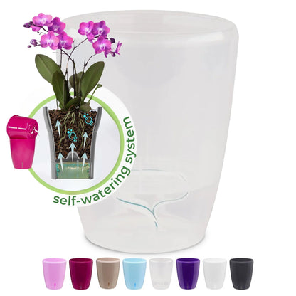 self watering orchid planter ORCHIDEA Self-Watering Orchid Pot – What The Blossom