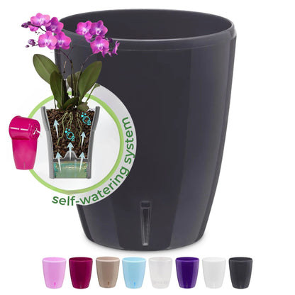 ORCHIDEA Self-Watering Orchid Pot
